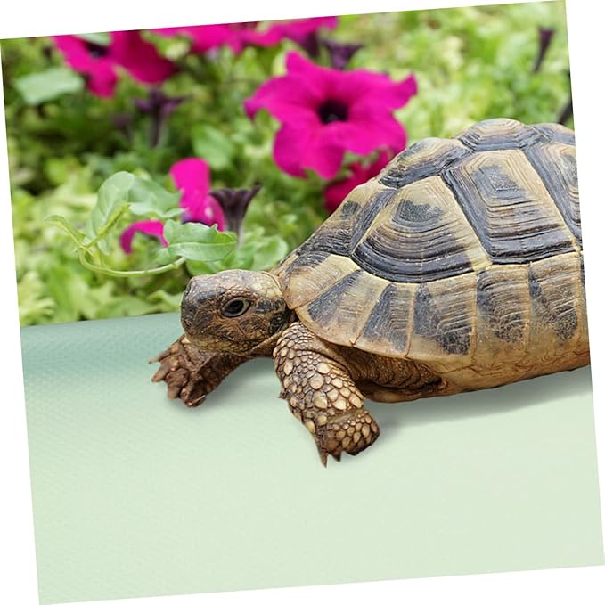 Reptile Carpet Lizard Bedding Mat Eva Non- Substrate Liner for Leopard Tortoise Snake and Lizard Terrariums Soft and Safe for Reptiles