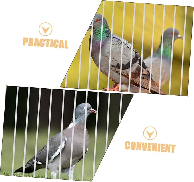 BESPORTBLE 2pcs Pigeon Cage Door for Aviary Bird Cage Accessories Bar Easy to Install Secure Design for Pigeon Safety