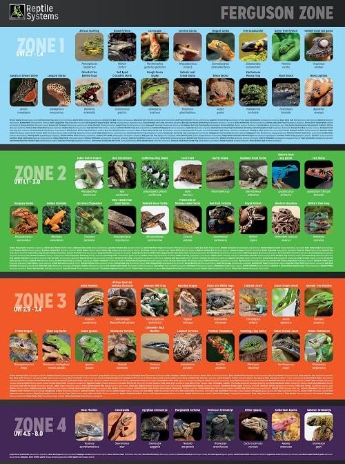 Reptile Systems T5 Ferguson Zone 4 Lamp – 36in, 39W – High Output Lighting for Reptiles, Crested Geckos, Chameleons, Leopard Geckos – Ideal for Vivariums and Tanks
