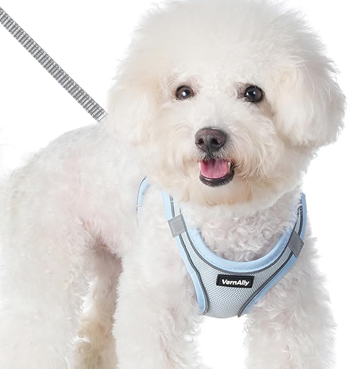 Sparkly Dog Harness Small Sized and Leash Set for Small Dogs Cats,Blue XXS Puppy Harness, Step in Soft Dog Reflective Vest, Breathable Mesh Pet Harness. (Blue, XXS)
