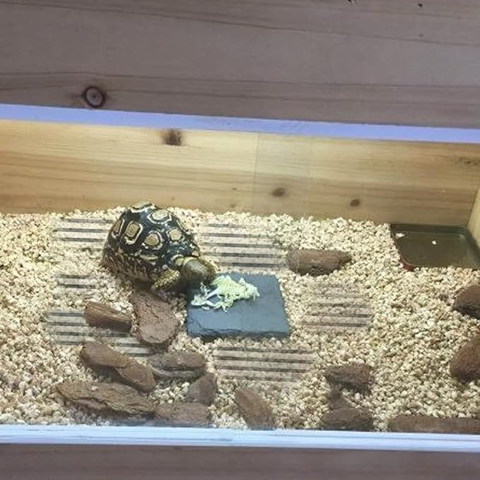 Reptile Heat Pad, Adjustable Temperature Control Lizard Terrarium Heating Mat for Small Animals Snake Turtle Bearded Dragon Gecko and Plant (5W)