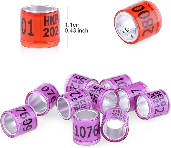 100Pcs Multicolor Aluminium Pigeon Leg Rings Dove Leg Rings with 2025 AU Pigeon Foot Ring with Word Earring, Quality Durable, Quail Leg Bands Baby Chick Leg Bands Pigeon Bands Chicken Leg Bands Rings
