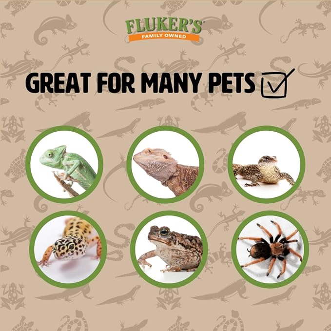 Fluker's Live Dubia Roaches, Premium Feeder Insects for Reptiles, Amphibians, and Arachnids (100 Count Large)