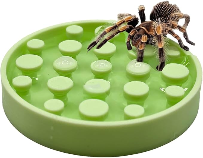 Leopard Gecko Water Bowl - Walkable Water Bowl - Tarantula Water Bowl (Mint Green)