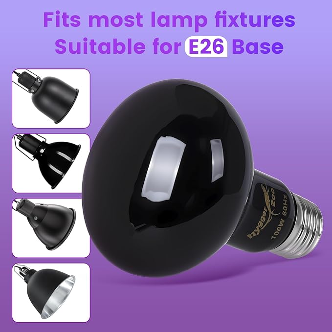 75W Reptile Night Light Bulb – 2-Pack Moonlight Purple Glow, Gentle Heat & UVA for Nocturnal Basking, E26 Base, Perfect for Bearded Dragon, Lizard, Turtle, Chicken
