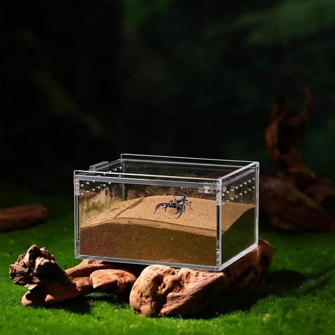 POPETPOP Reptile Breeding Box Reptile Feeding Container Aquarium Breeding Tank Transparent Feeding Box Terrarium Habitat for Snake Turtle Lizards