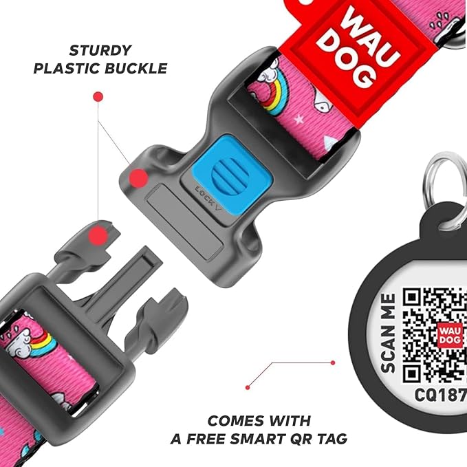 Nylon Dog Collar and Leash Set - Adjustable Dog Collar for Large Dogs, Small & Medium Dogs - Puppy Collars for Large Breed - Boy & Girl Collars with Durable Plastic Buckle and QR Tag