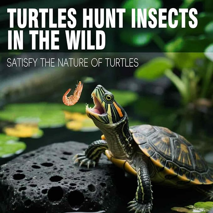 Freeze-Dried River Shrimp ?€? Premium Turtle Food, Reptile & Bird Treat ?€? High-Protein Shrimp for Turtles, Aquatic Pets, Tropical Fish, 1.5 oz