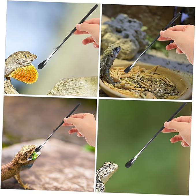 BESPORTBLE 3Pcs Reptile Feeding Spoon Set Long Handle PET Food Scoop for Lizard and Small Animals Reusable Feeding Tool for Wet Food for Reptile Supplies