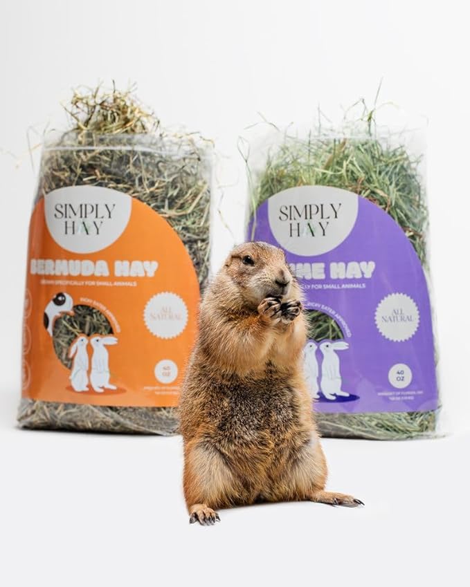 Bermuda Hay – High-Fiber, Low-Calcium Coastal Grass for Rabbits, Guinea Pigs & Small Pets – All-Natural, Hand-Packed, Timothy-Allergy Friendly (24 oz)