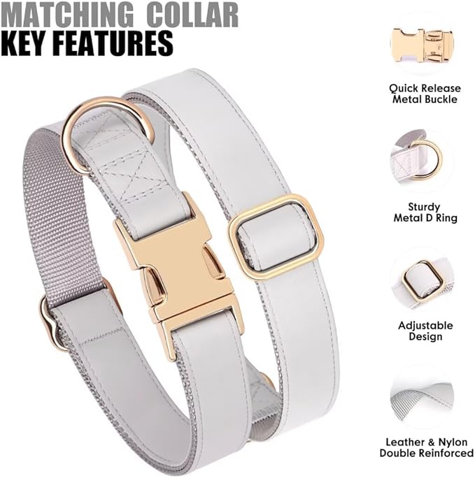 PET ARTIST Soft PU Leather Dog Collar and Leash Set, Bright & Stylish 5FT PU Leather Leash and Collar Set, Durable Pet Collars with Quick Release Metal Buckle for Small Dogs,Gray,S(9"-14")