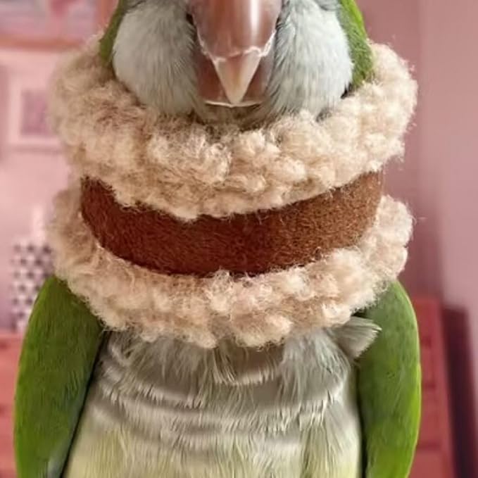 Pet Parrot Anti-Bite Elizabethan Collar, Neck Shield Anti-Grab Feather Plucking Wound Healing Safety Recovery Collar Cones for Budgerigar Lovebird Random Color (2M)