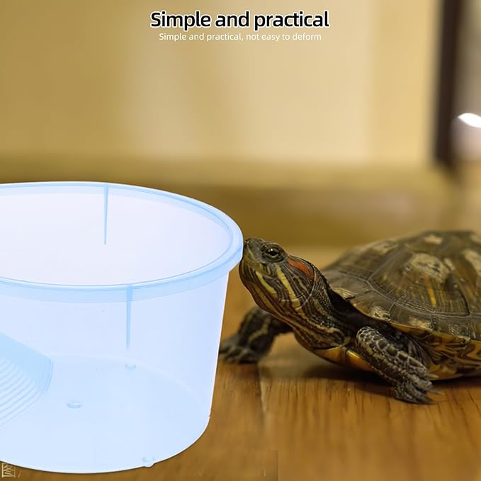 Live Fish Habitat A Size with Small Platform Lagoon-small Plastic Tank Drying No Wwamp Straw Turtle Sky Opening Cover Trees-turtle Blue Breeding