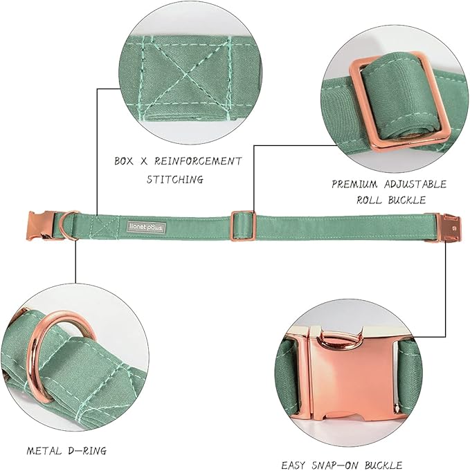 Lionet Paws Bowtie Dog Collar - Comfortable Silk Dog Collar with Detachable Bow Tie for XLarge Dogs, Neck 16-26 Inches