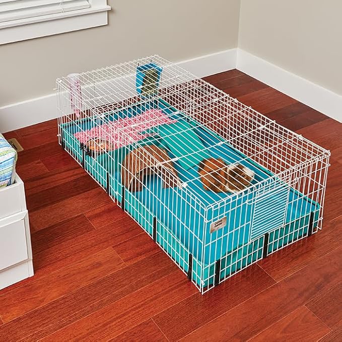MidWest Homes for Pets Guinea Habitat Plus Cage, Includes Divider Panel and Hinged Top, Washable PVC Canvas Bottom, Expandable Small Animal Cage for Guinea Pigs, 171GHP