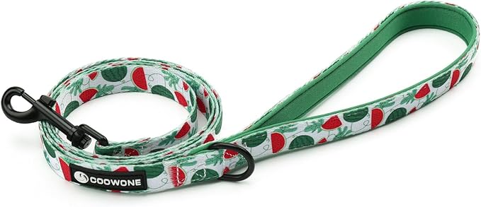 Dog Harness and Leash Set, Adjustable Dog Harness, Dog Leash, No Pull No Choke Puppy Harnesses for Walking Training for Small Medium Pet (Green Watermelon, M(Chest 15.7-22.1", Neck 12-15"))