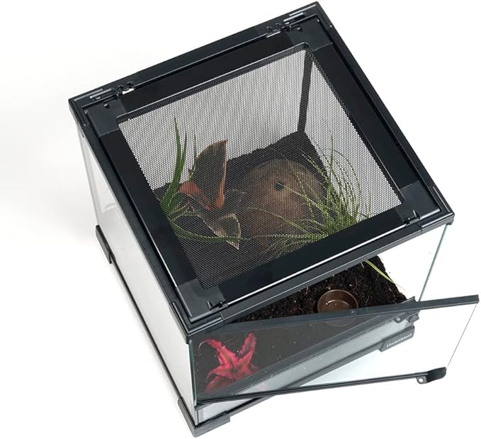 Habistat Glass Terrarium for Reptiles 12"x12"x18" – Stackable Reptile Enclosure for Inverts & Amphibians with Lock & Waterproof Base, Ideal Terrarium Tank for Chameleons, Geckos and Bioactive Setups