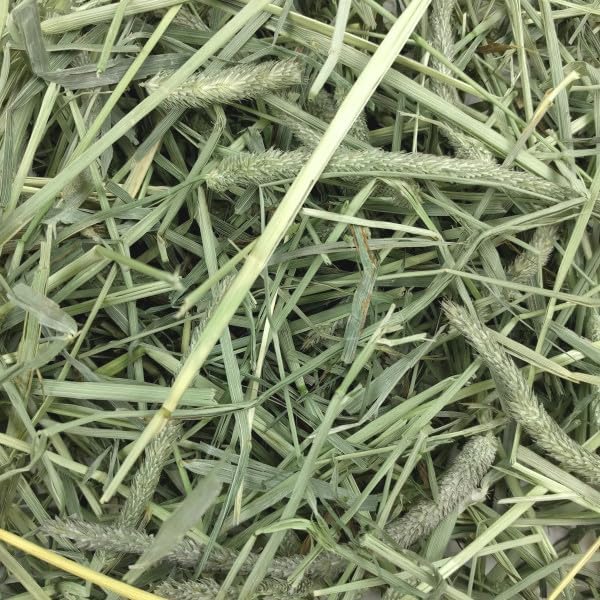 Bundle of Oxbow Western Timothy Hay for Rabbits, Vet Recommended, Grown in The USA (40 oz) + Oxbow Essentials Adult Rabbit Food, Rabbit Pellets, All Natural Vitamins & Minerals, Made in USA (5 lbs)