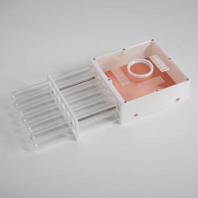Professional Ant Farm Test Tube Nest, Clear Acrylic, 12 Tubes 20x200mm, Large Foraging Area with 6 Extension Ports