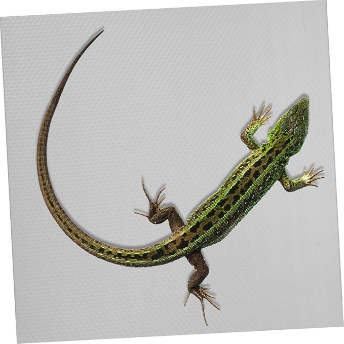 Reptile Carpet Mat for Leopard Gecko Lizard Snake and Turtle Soft Non-Slip Terrarium Substrate Bedding 48 x 24 Easy to Clean Accessories for Reptile Tank