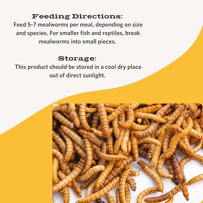 Fluker's Freeze Dried Mealworms for Reptiles, Packed with Protein and Essential Nutrients, 1 lb. Value Pack