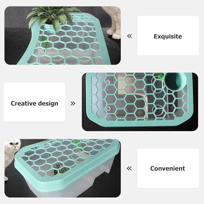 Mikikit Reptile Terrariums Reptile Terrariums Turtle Tank Aquarium, Turtle Habitat Reptile Plastic Terrarium Safe, Turtle Tank with Lid Tortoise from Climbing Escaping Glass Animals Reptisoil