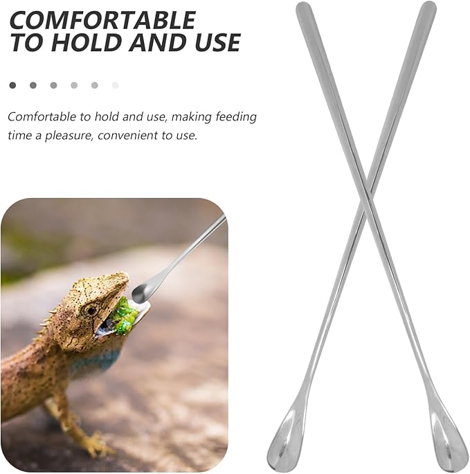HANABASS 2pcs Sturdy Stainless Steel Feeding Spoon for Lizards Reptiles Multi-Functional Pet Food Scoops Small Lizard Food Spoon