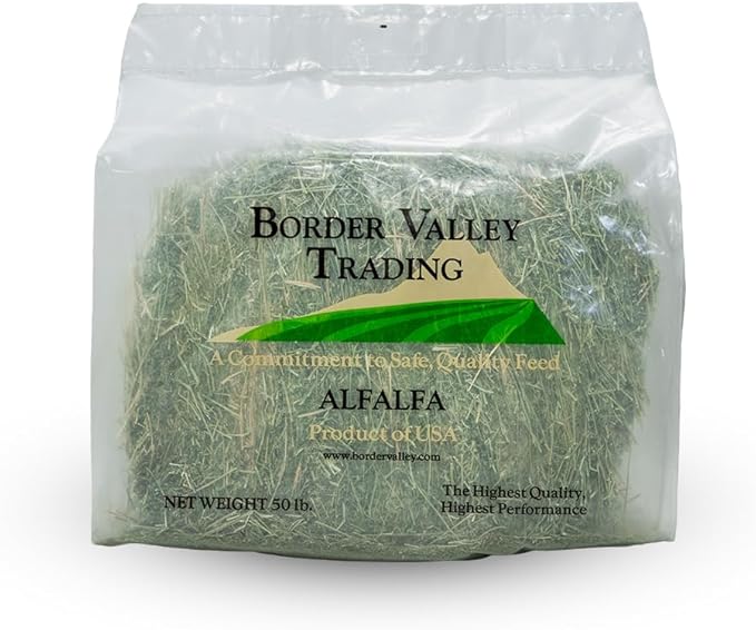 Border Valley Alfalfa Hay Bale in Bag, 50 lb - High Fiber Hay for Rabbits, Guinea Pigs, Chinchillas, Tortoises, Horses and Livestock - Protein-Rich Plant-Based Nutrition, Farm-to-Home Freshness