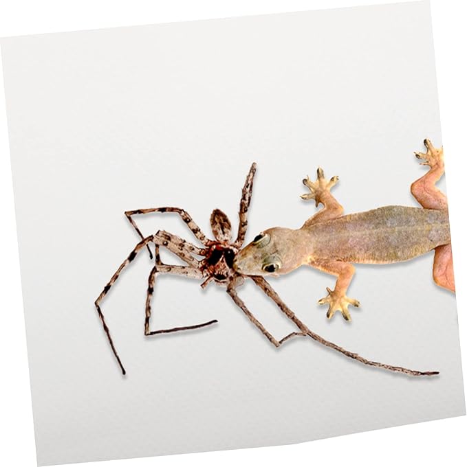 Totority Crested Gecko Tank Accessories Reptile Carpet Bearded Dragon Substrate Tortoise Bedding Lizard Tank Bedding Mat Portable Reptile Terrarium Carpet