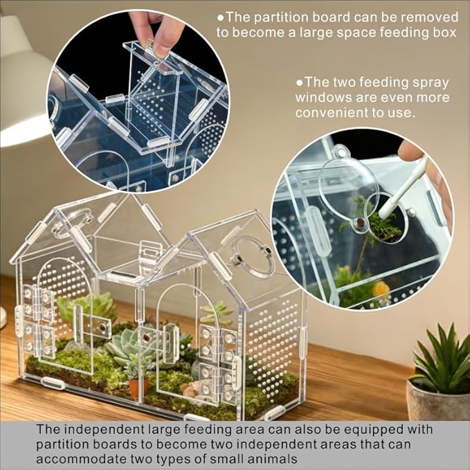Jumping Spider Enclosure, Dual Magnetic Doors & Observation-Feeding Windows, Acrylic Reptile Habitat Kit, Pet Terrarium for Spiders, Tarantulas, Snails, Lizards & Small Reptiles (9.6×4.2×5.8 inches)