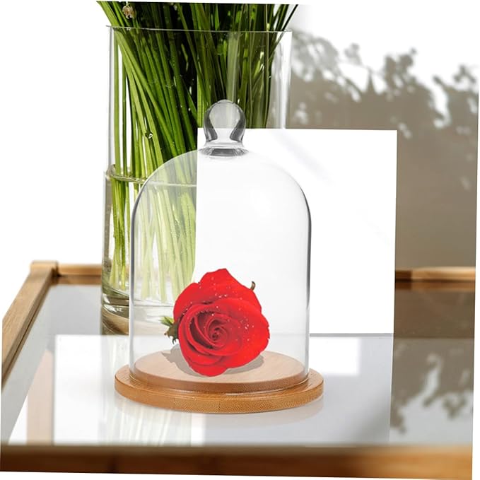 2Pcs Transparent Glass Cloche Cover for Dried Flowers Crafts Design High Visibility for Preserved Flower Display and DIY Terrariums