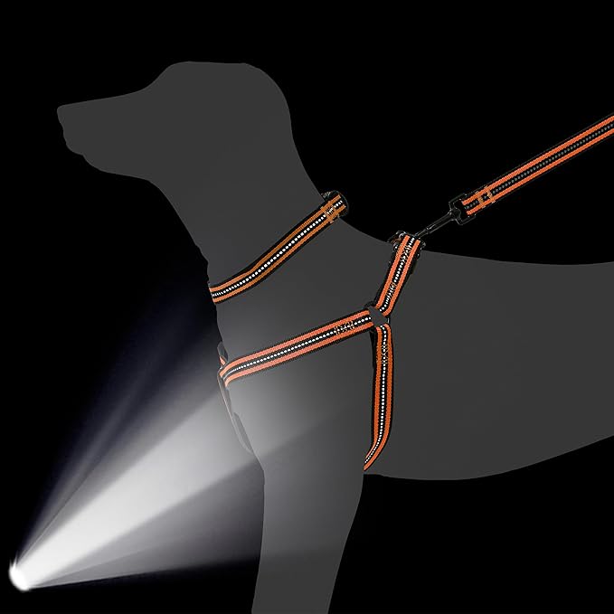 Mile High Life Night Reflective Double Adjustable Band Nylon Small Puppy Pet Dog Combo Collar Leash and Harness Set (Reflective Stripe Orange, Mediun (Pack of 3))