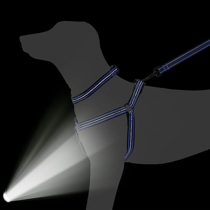 Mile High Life Night Reflective Double Adjustable Band Nylon Small Puppy Pet Dog Combo Collar Leash and Harness Set (Reflective Stripe Blue, Large (Pack of 3))