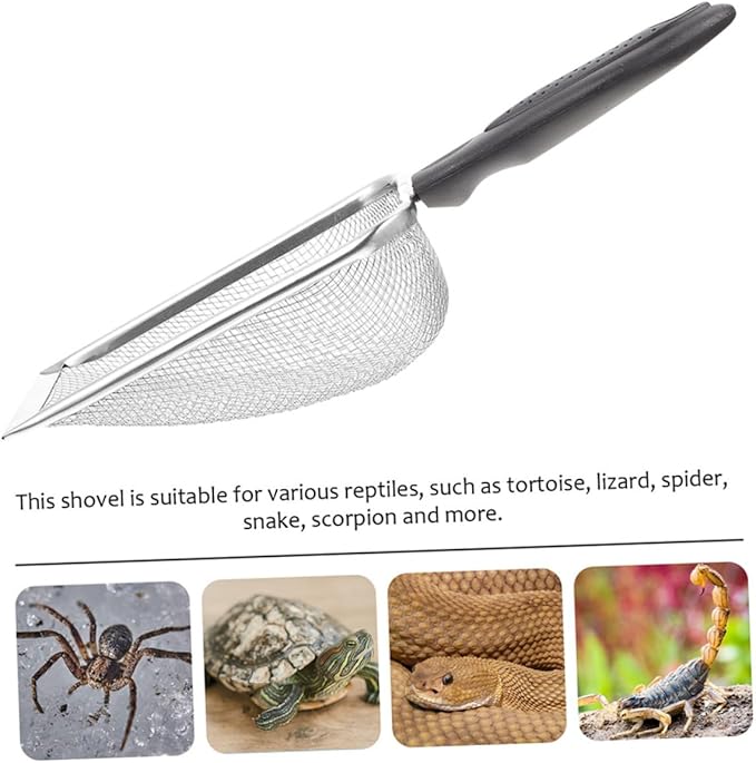 TOYANDONA 2pcs Portable Stainless Steel Reptile Shovels for Easy Substrate Cleanup Durable Household Scoopers for Tortoise Lizard and Scorpion Care