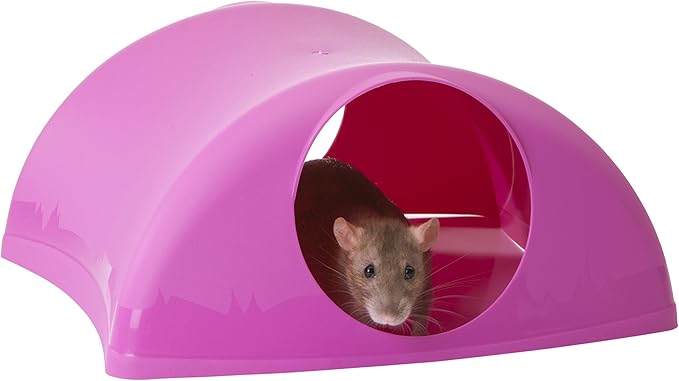 Lixit® Critter Hollow Igloo Hidaway Home for Guinea Pigs, Chinchillas, Rats and Other Small Animals (Pink, 2 Pack)
