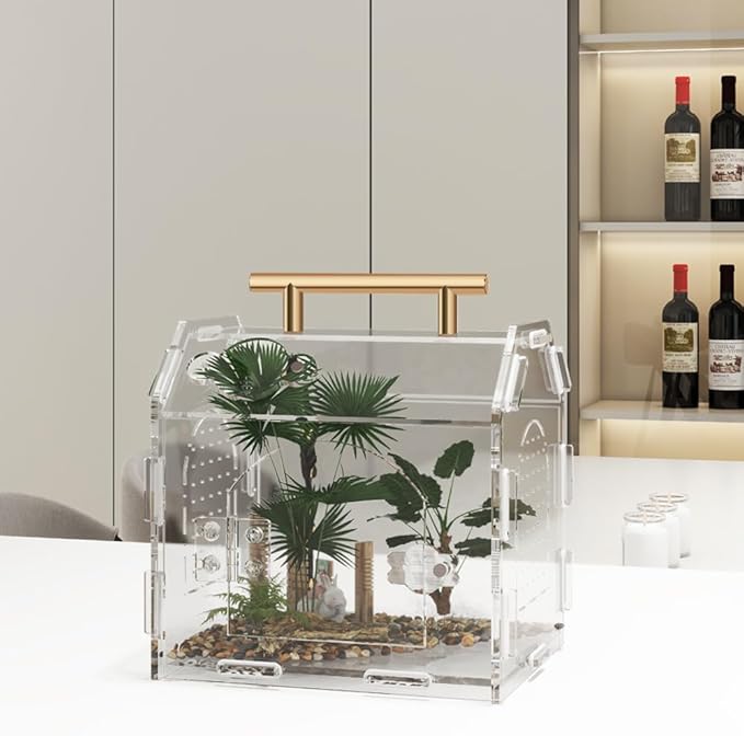 Jumping Spider Enclosure,Premium Acrylic Spider Enclosure - Ideal for Tarantulas, Reptiles, and Insects - Easy Assembly & Feeding - All-Round Transparent Terrarium
