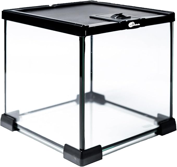 Gallon Full Glass Reptile Tank, Medium Terrarium for Gecko, Hermit Crab, Hognose Snake & More, with Top Screen Ventilation & Easy Feeding