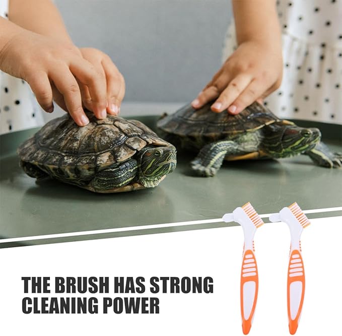COHEALI 3pcs Turtle Shell Cleaning Brush Set Mud Removal Tool for Aquatic Tortoises and Turtles with Sturdy Bristles, Reusable Aquarium Scrub Brushes for Pet Reptile Health Maintenance