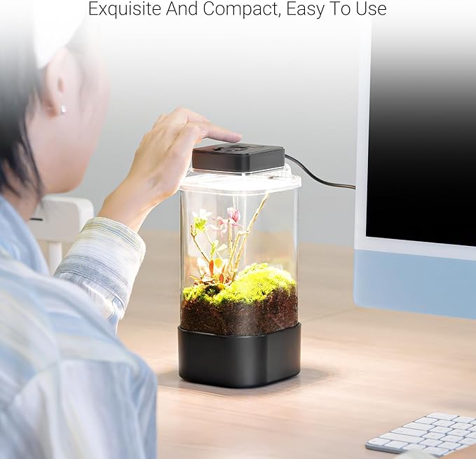 REPTI ZOO Insect Terrarium, 4" x 4" x 6" Insect Breeding Box with LED Lighting & Fan System, Glass Terrarium Tank for Spiders, Snail, Mantis and Small Reptiles