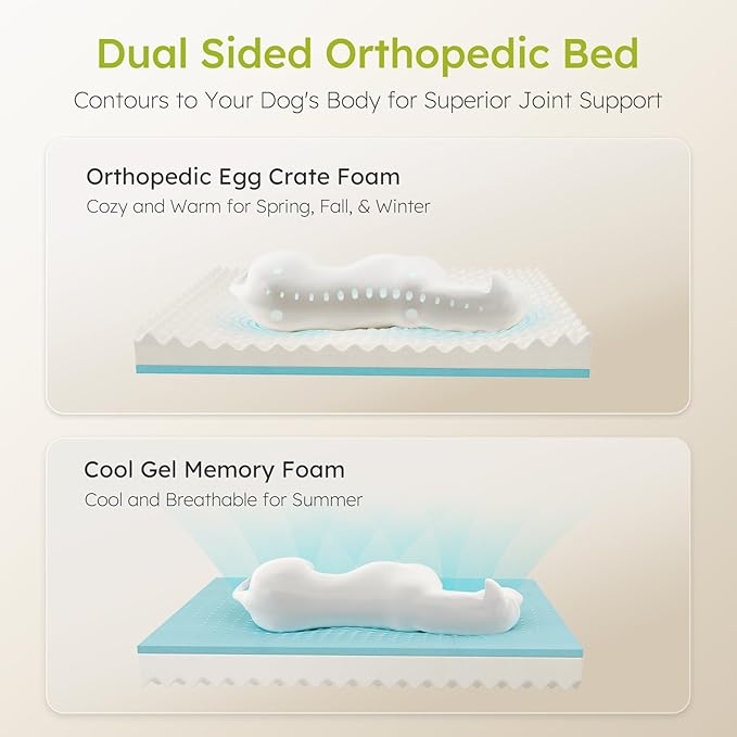 CWAWZ XXL Dog Bed for Extra Large Dogs, Giant Orthopedic Dog Beds with Cooling Gel Memory Foam, Waterproof Pet Bed with Removable Washable Cover, 53" Pet Sofa Bed Velvet with Bone Toy, Dark Gray