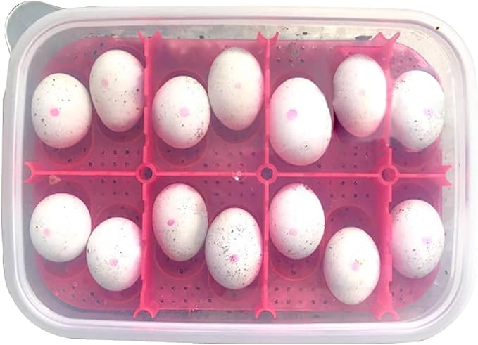 Reptile Breeding Box OMEM Reptile Lizard Incubation Box, Hatchery Box, Suitable for Hatching Snake, Lizards, Lions Mane, Reptiles (Black)