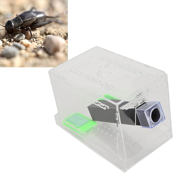 Acrylic Feeding Cricket Keeper Pen with Tubes Care Kit Tank Box for Reptile (Small 9x9x11cm/ 3.54x3.54x4.33in)