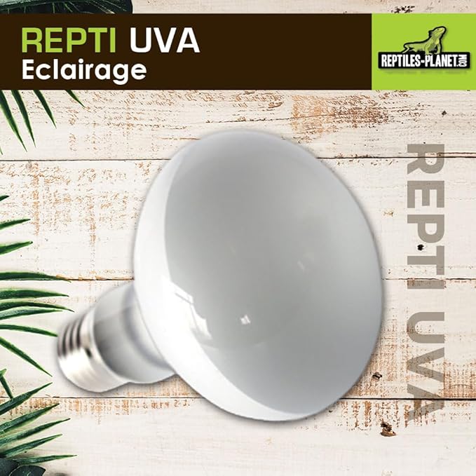 Reptile UVA Neodymium Daylight 50 W