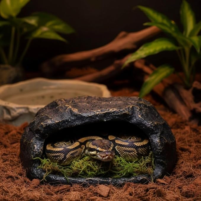 Zoo Med All Natural Reptile Terrarium Moss Substrate