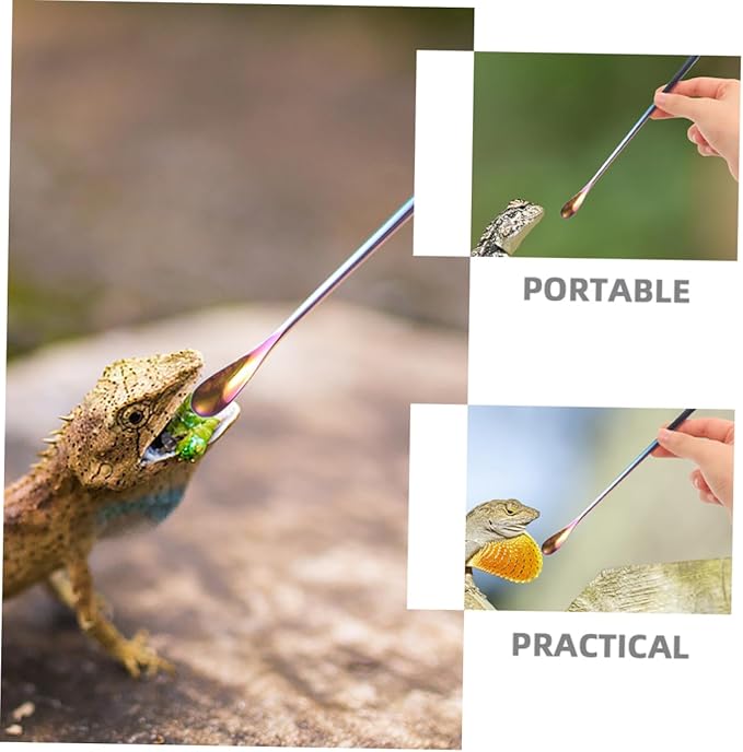 Kisangel 3pcs Small Lizard Food Spoon for Pet Feed Water Scoop Mixing Stirring Function Pet Supply