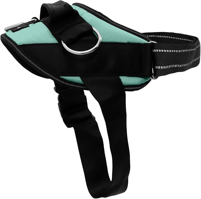 ShawnCo Essential Dog Harness, No-Pull Pet Vest with 3 Leash Clips, No Choke, Reflective, Adjustable and Padded, for Easy Walking and Training for Small, Medium and Large Dogs (Seafoam, XL)