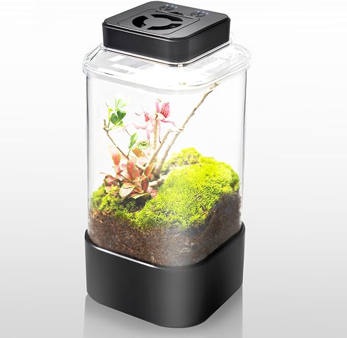 REPTI ZOO Insect Terrarium, 4" x 4" x 6" Insect Breeding Box with LED Lighting & Fan System, Glass Terrarium Tank for Spiders, Snail, Mantis and Small Reptiles