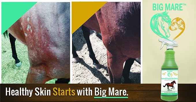 Big Mare All Purpose Horse Skin & Wound Care 32oz | First Aid: for Girth Itch, Insect & Fly Bites, Crud, Itchy Manes & Tails & Hair Loss | Vet Approved & Recommended