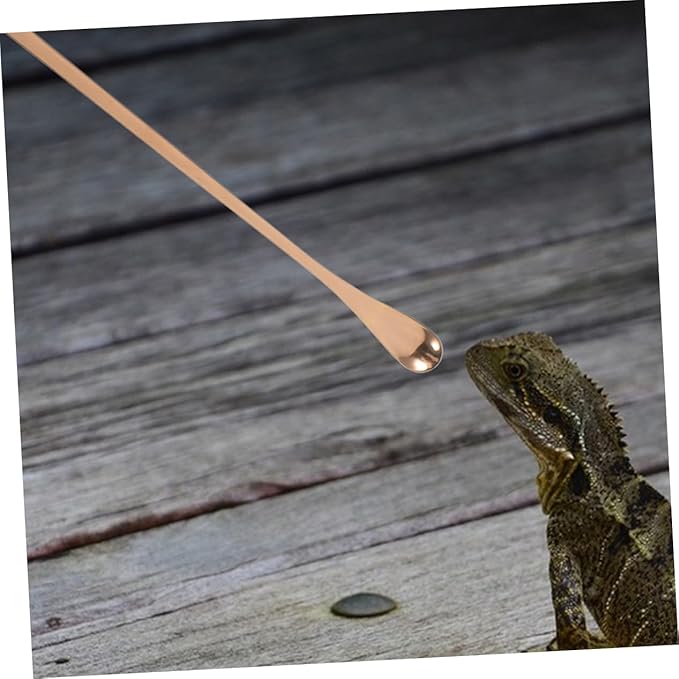 Abaodam 3Pcs Long Handle Reptile Food Feeding Spoon Ergonomic Design for Easy Mixing and Stirring Tool for Lizards Bearded Dragons and Animals Durable and Easy