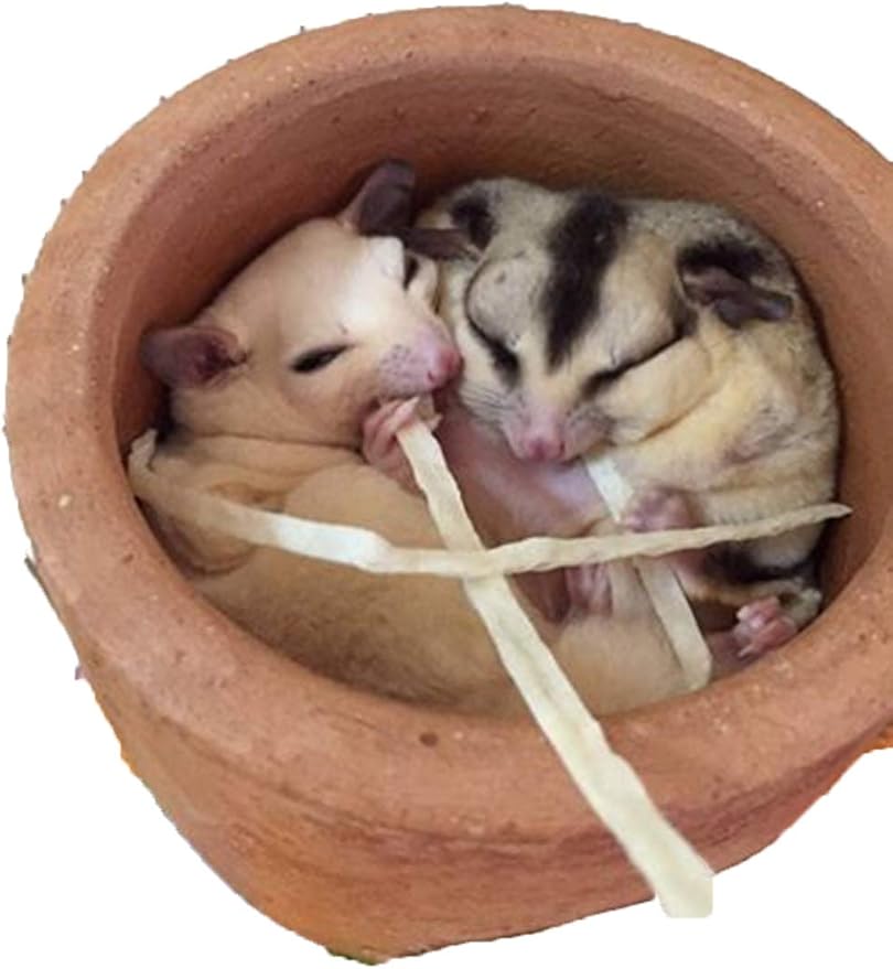 1 Sachet Sugar Glider, Hamster, Squirrel, Hedgehog, Chinchillas, Rabbit, Ferret, Small Exotic Pet Food Supplies Fish Snack 120 g. + 10% Bonus = 138 g.